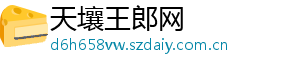 天壤王郎网